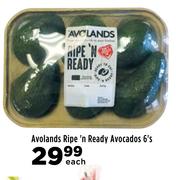 Avolands Ripe n Ready Avocados-6 Each