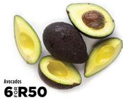 Avocados-For 6