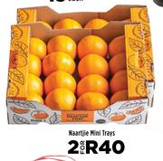 Naartjie Mini Trays-For 2