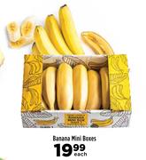 Banana Mini Boxes-Each