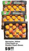 Nectarine, Yellow Cling Peach Or Dessert Peach Boxes-Each
