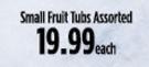 Small Fruit Tubs Assorted-Each