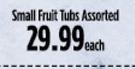 Small Fruit Tubs Assorted-Each