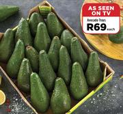 Avocado Trays-Each