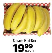 Banana Mini Box-Each