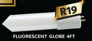 Fluorescent Globe 4 Ft