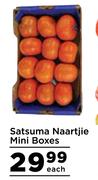 Satsuma Naartjie Mini Boxes-Each