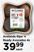 Avolands Ripe n Ready Avocados-4s Each