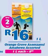 Orange Grove Asemzansi Amahewu-1Ltr Each