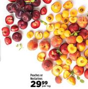 Peaches Or Nectarines-Per Kg