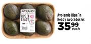 Avolands Ripe n Ready Avocados-6s Each