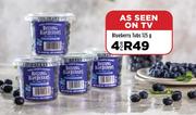 Blueberry Tubs-For 4 x 125g