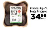 Avolands Ripe'n Ready Avocados-Each