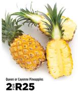 Queen Or Cayenne Pineapples-For 2