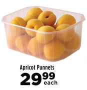 Apricot Punnets-Each