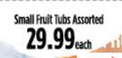 Small Fruit Tubs Assorted-Each
