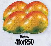 Magoes-For 4