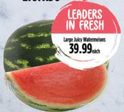 Large Juicy Watermelons-Each