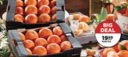 Naartjie Trays-Each