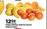 Oranges, Minneolas, Grapefruit, Cara Cara Ornages & Lemons-Per Kg