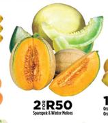 Spanspek & Water Melons-For 2
