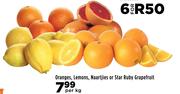Oranges, Lemons, Naartjies Or Star Ruby Grapefruit-Per kg