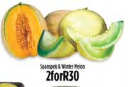 Spanspek & Winter Melon-For 2