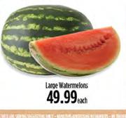 Large Watermelons-Each