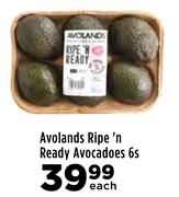 Avolands Ripe'n Ready Avocados-6's Pack Each