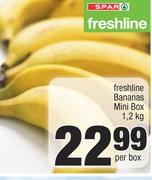 Freshline Bananas Mini Box-1.2Kg Per Box