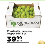Constantia Hanepoot Grapes Mini Box-Each
