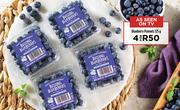 Blueberry Punnets-For 4 x 125g