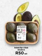Avolands Ripe n Ready Avocados-6s Each
