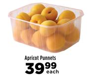 Apricot Punnets-Each
