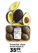 Avolands Ripe 'n Ready Avocado Prepacks-6's Pack Each