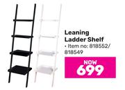 Leaning Ladder Shelf