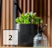 Round Matt Dark Grey Pot-145mm X 175mm