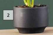 Good Roots Joss Onyx Pot
