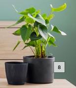 Round Matt Dark Grey Pot
