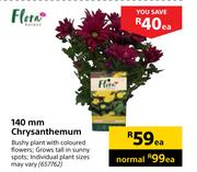 Flora 140mm Chrysanthemum-Each
