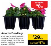 Assorted Seedlings-Each