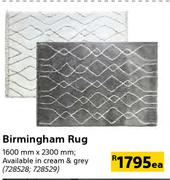 Birmingham Rug 1600mm x 2300mm-Each