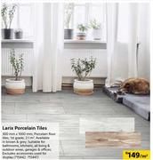 Larix Porcelain Tiles 300mm X 1000mm-Per Sqm