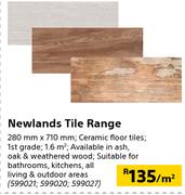 Newlands Tile Range 280mm x 710mm-Per Sqm