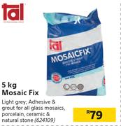 Tal Mosaic Fix-5Kg