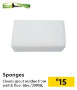 Sponges