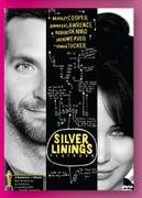Silver Linings Movie DVD