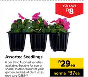 Assorted Seedlings-Each