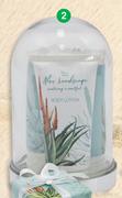 Nature's Edition Aloe Landscape Hand & Nail Cream Trio Set