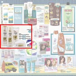 Dischem : I dream of an African Summer (Until 24 Dec), page 10